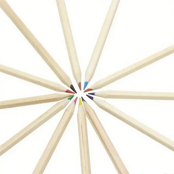 12 Color Pencil Set with Holder