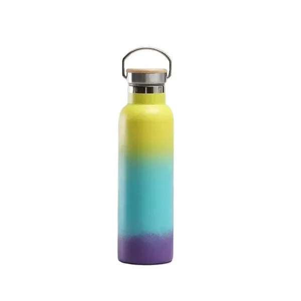 25oz Insulated Water Bottle with Top Handle