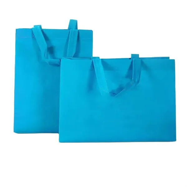 Non Woven Gift Bag