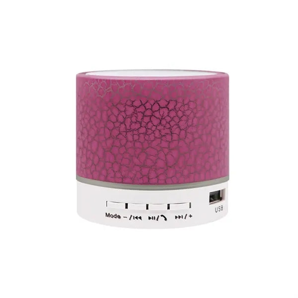 Portable Mini Speaker