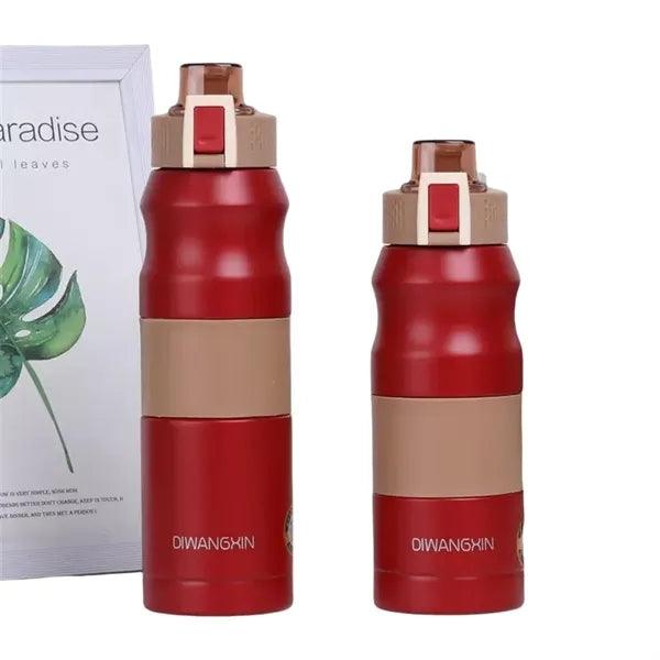 17/23 oz Dual-Lock Double Wall Stainless Steel Sports Bottle