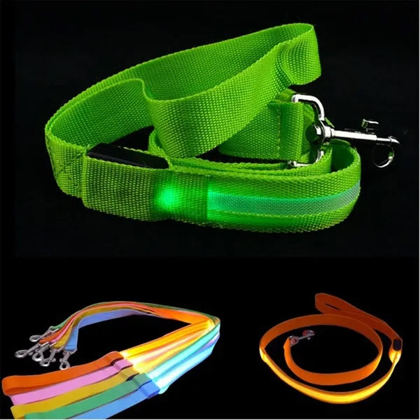 LED Pet Safety Rope