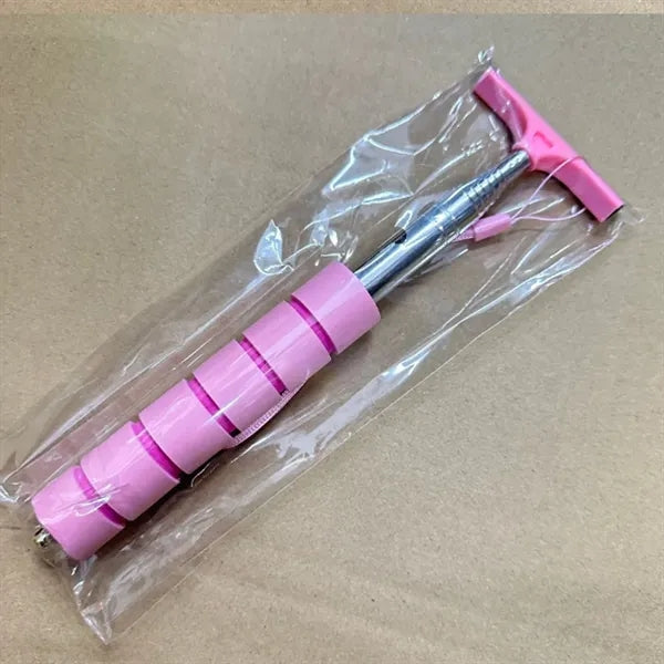Retractable Mirror Squeegee