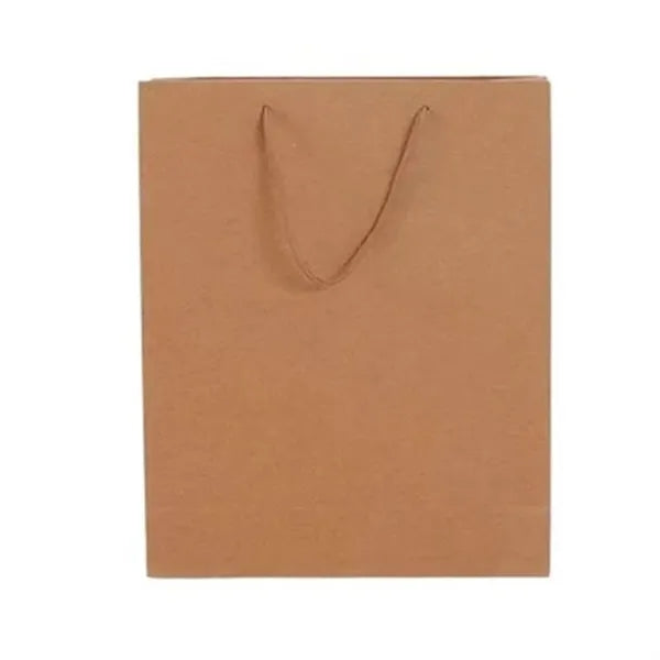 Eco-Friendly Large Paper Gift Bag