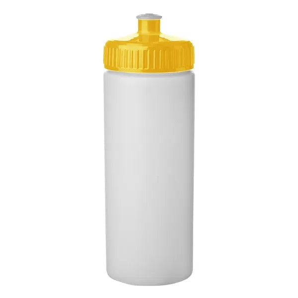 20 oz. Frosted Plastic Water Bottles