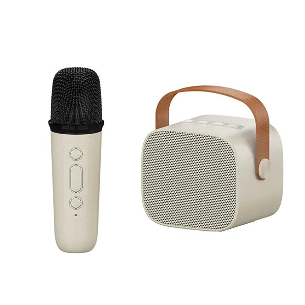Portable Bluetooth Karaoke Machine With Wireless Mics