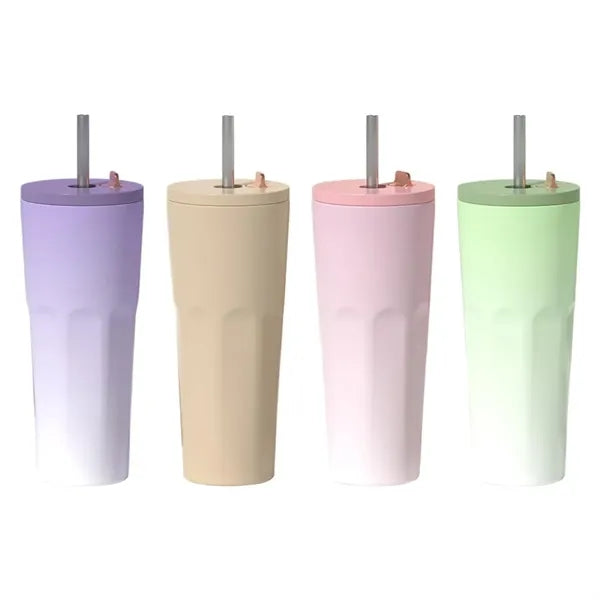 24-oz Leakproof Insulated Stainless Steel Tumbler with Straw
