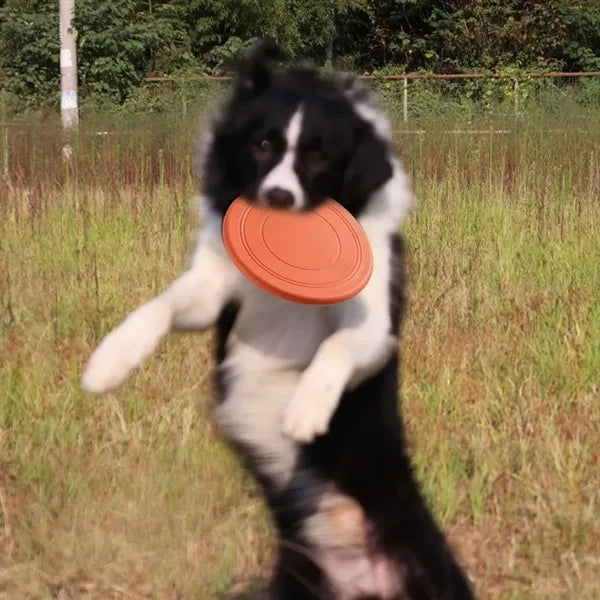 Pet Interactive Soft Frisbee