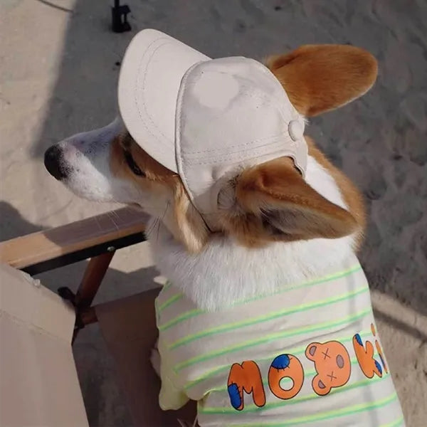 Pet Baseball Cap