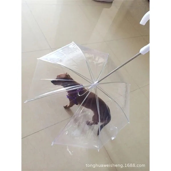 Transparent Dog Umbrella With Leash And Long Handle