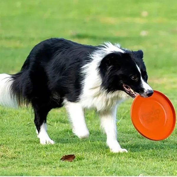 Dog Frisbee Interactive Training Toy