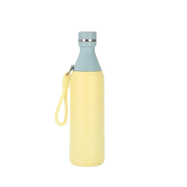 17oz Stainless Steel Bottle with Insulated Portable Design