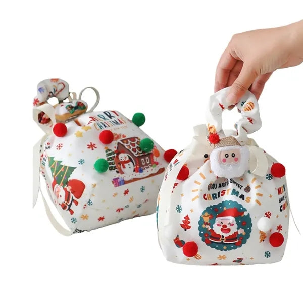 Christmas Apple Bag