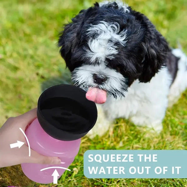 Portable Water Dispenser with Bowl