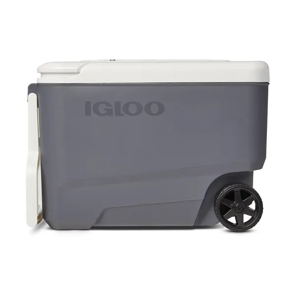 Igloo Versatemp 35 Quart Electric Roller Cooler