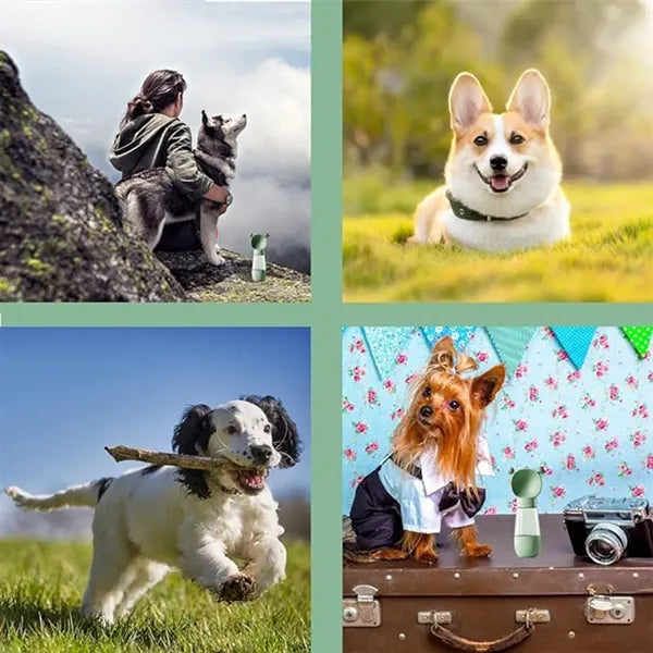 Dog Water Bottle Portable Travel Camping Hiking Pet
