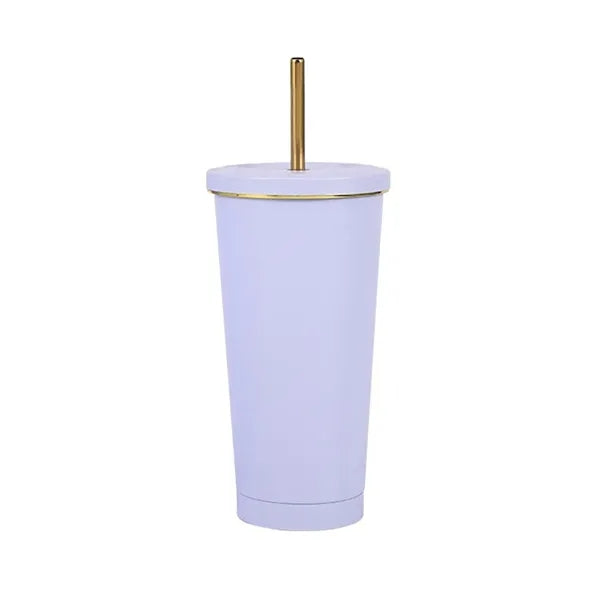 Stainless Steel 304 16oz Double-layer Strawing Cup