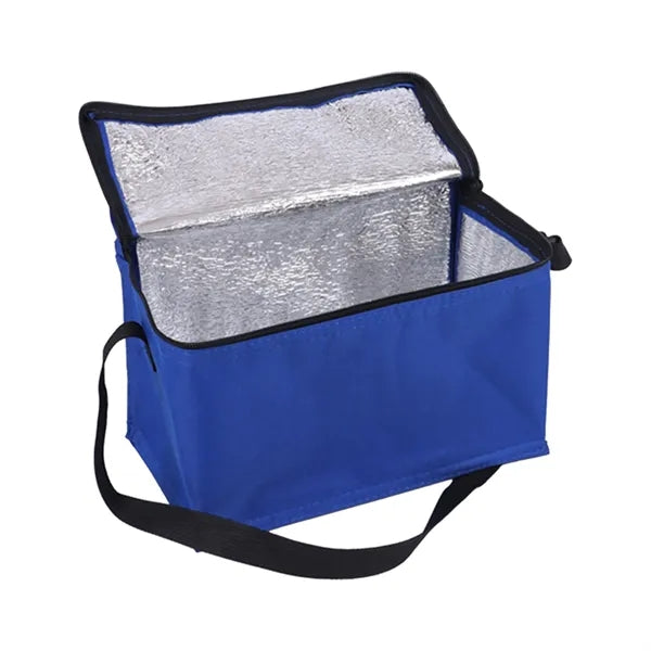 Portable Insulated Tote Cooler