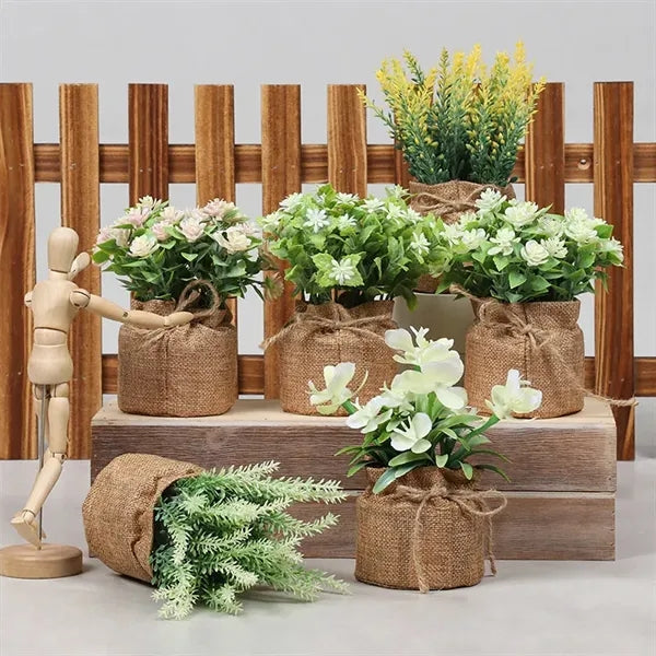 Home Potted Decoration