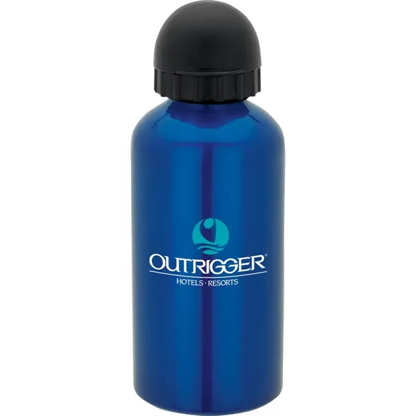16.9 oz. Domed Flask