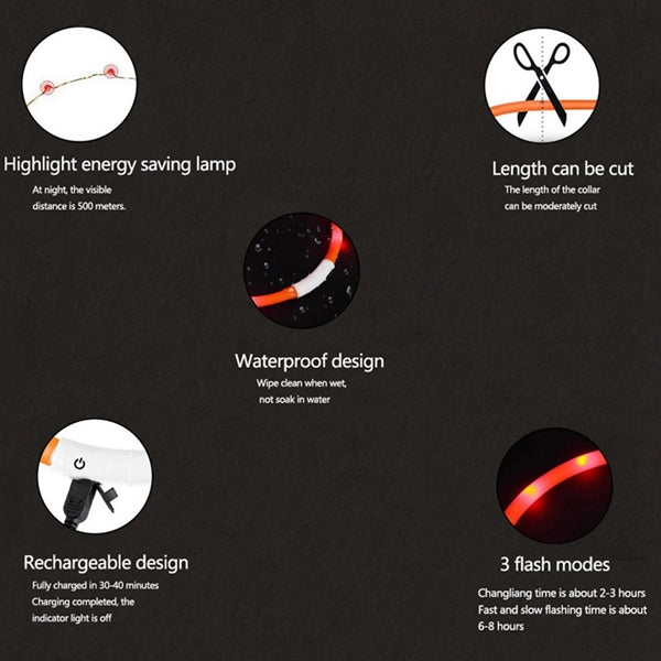Puppy LED Collar Leash