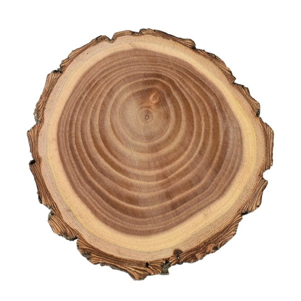 Natural Wood Log Coaster