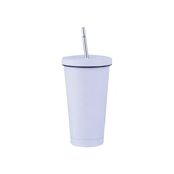 Simple Modern Insulated Tumbler with Lid and Straw