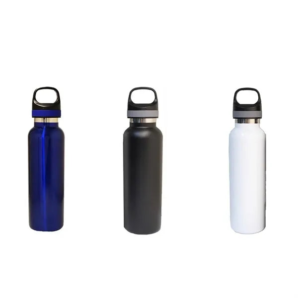 22 Oz Stainless Steel Bottle