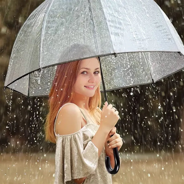 Windproof Clear Bubble Dome Umbrella
