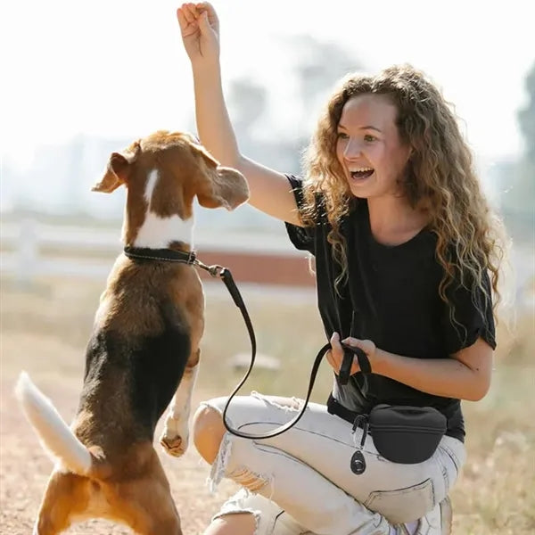 Pet Snack Waist Pack