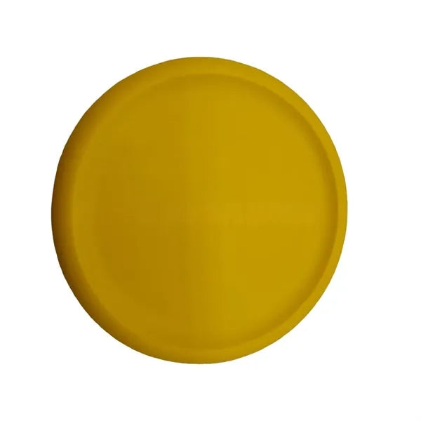 Fly ing Discs Bulk for Kids