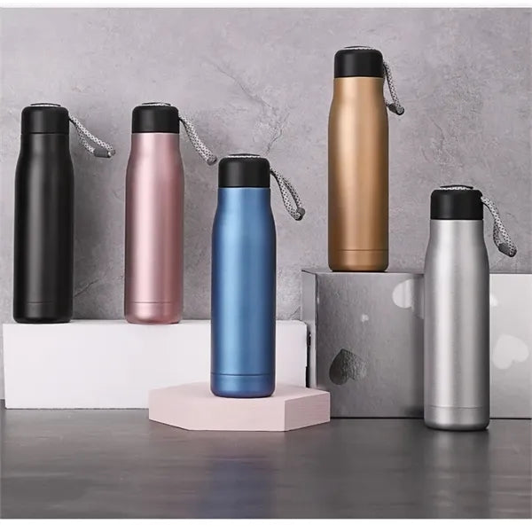 18oz Stainless Steel Insulated Water Bottle w/ Screw Lid