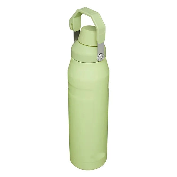 18oz Stainless Steel Spout Bottle
