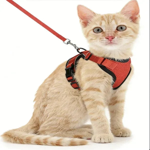 AirFit Breathable Cat Harness Set