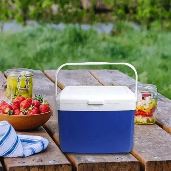 4.5L Portable Outdoor Insulated Cooler Box