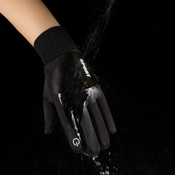 Winter Gloves