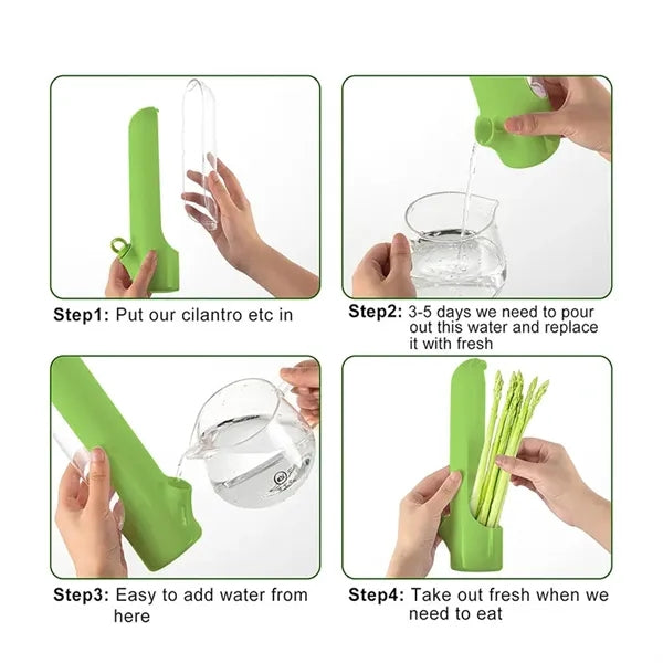Herb Fresh-Keeping Box Vegetable Preservation Container