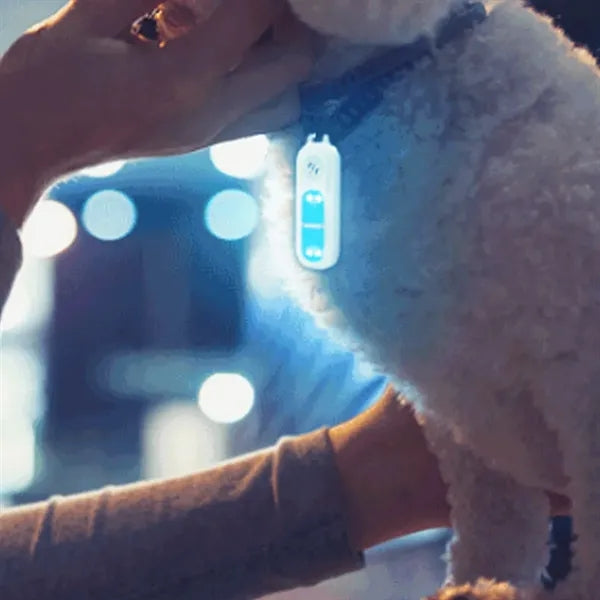 Outdoor LED Safety Alarm Light with 3-Color Flash