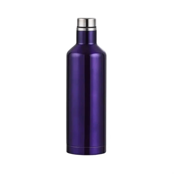17oz Stainless Steel Wine Bottle