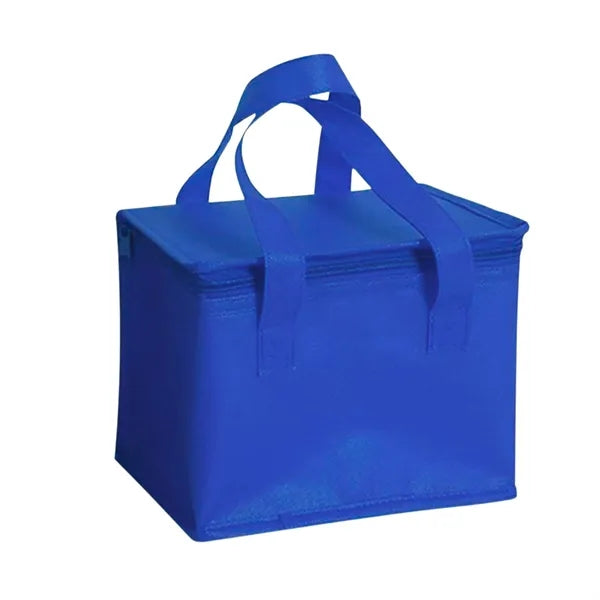 Portable Non Woven Insulated Lunch Picnic Bag