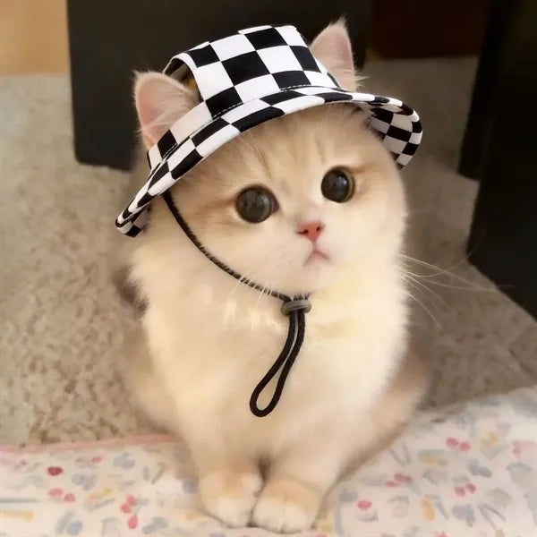 Summer Pet Cowboy Hats