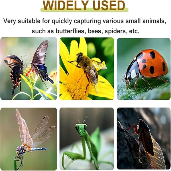 Outdoor Handheld Insect Catcher