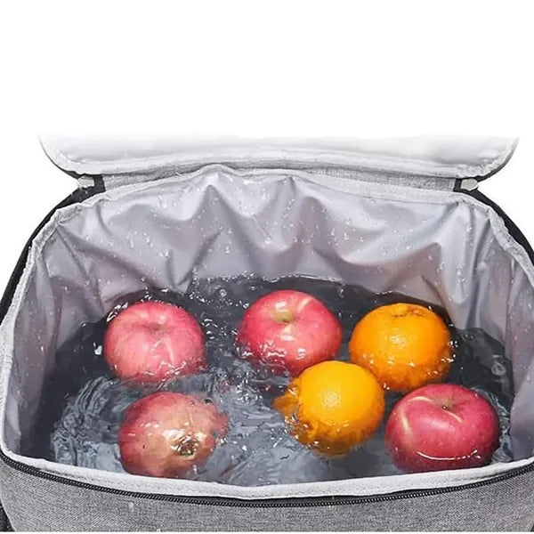 15L Insulated Lunch Tote Bag