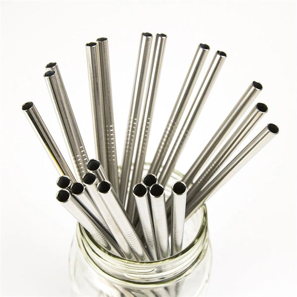 Silver Stainless Steel Straight Straw 2pc Set