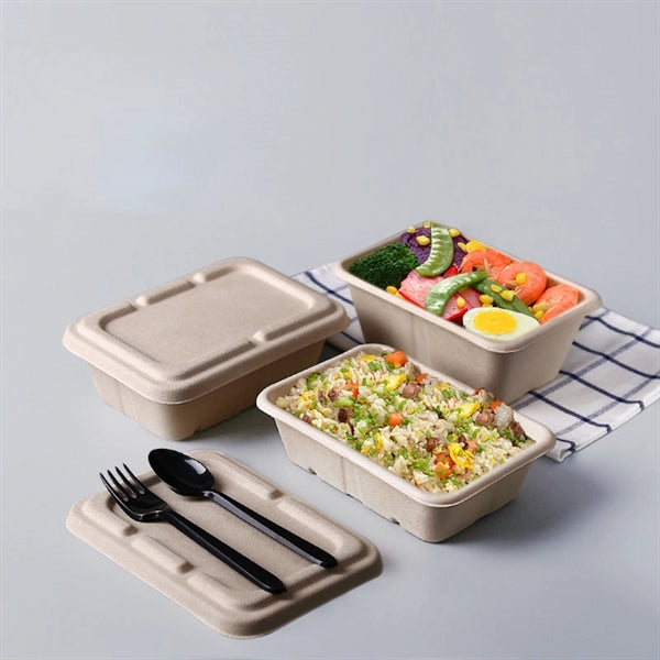 Eco Friendly Lunch Box