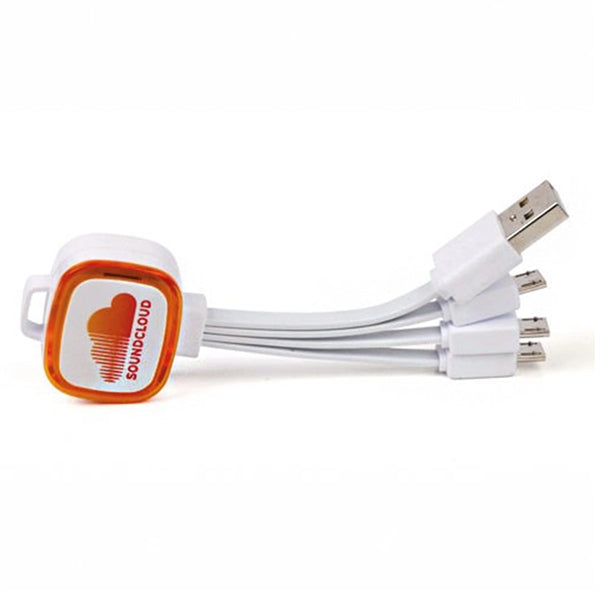 Gifts 4 in 1 USB Charging Cable
