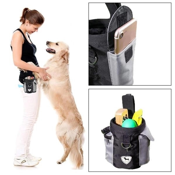 Dog Food Training Bags