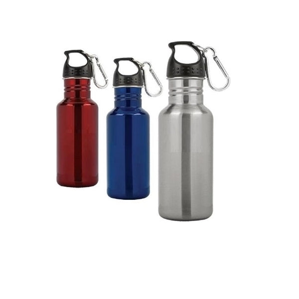 17oz Water bottles with Carabiner