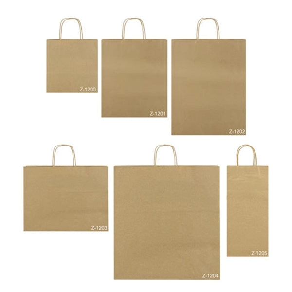 Kraft Paper Gift Bags with Handles