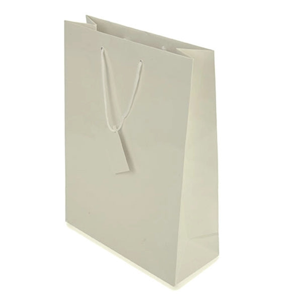 Paper Glossy Gift Bags